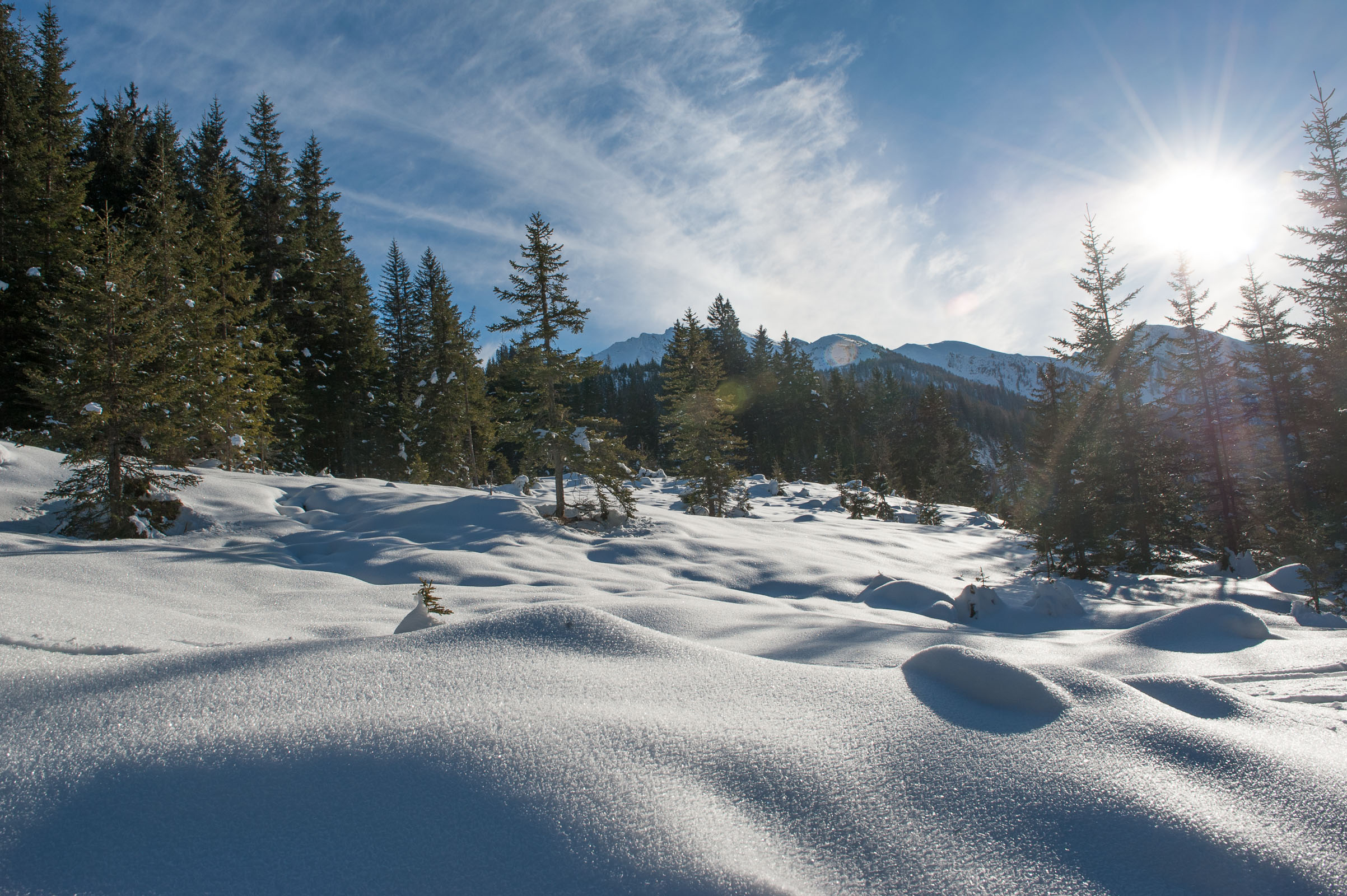 Als het bovenste laagje sneeuw begint te smelten en het zonnetje schijnt, dan glinstert de sneeuw extra!
