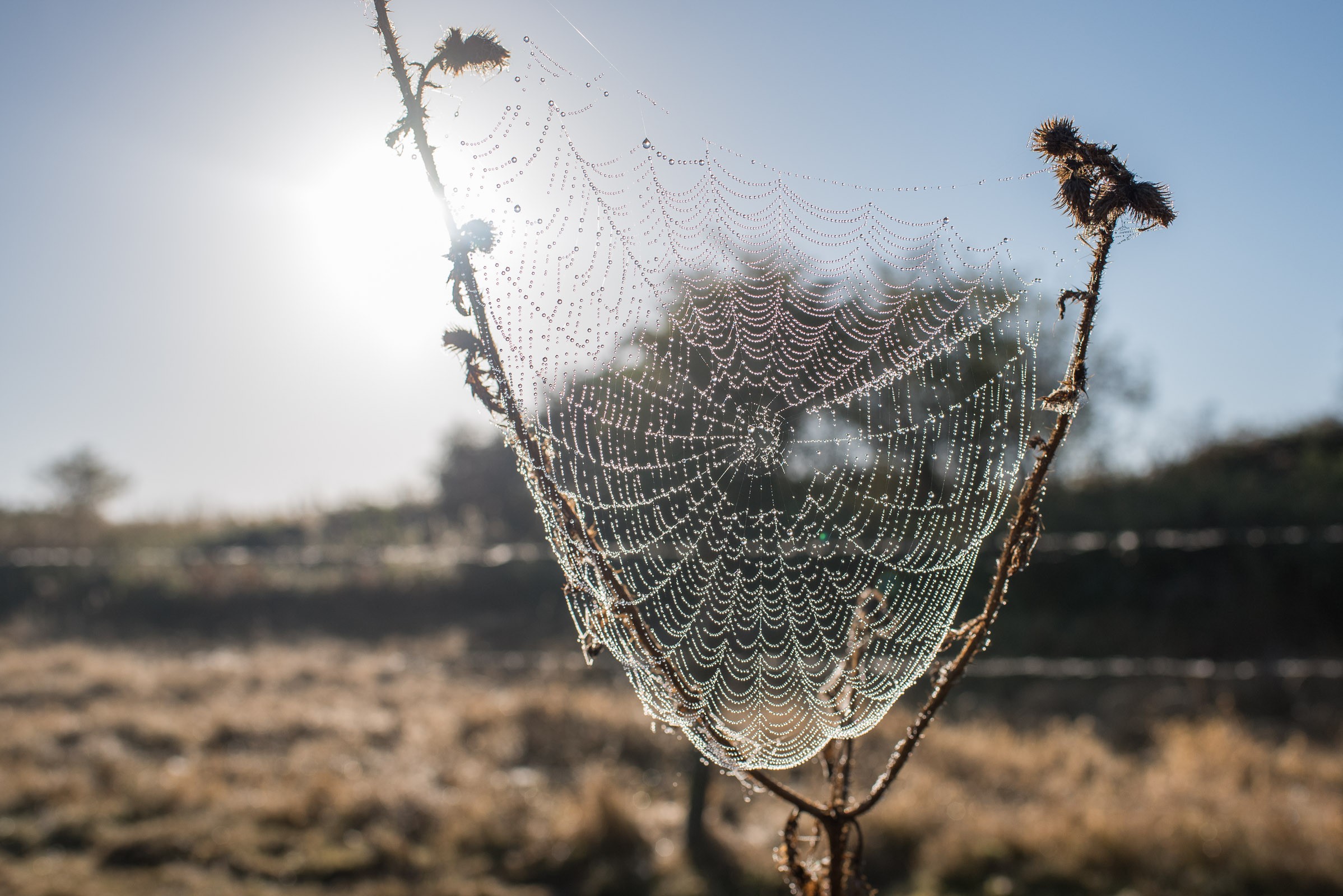 Gefotografeerd met 35mm lens.