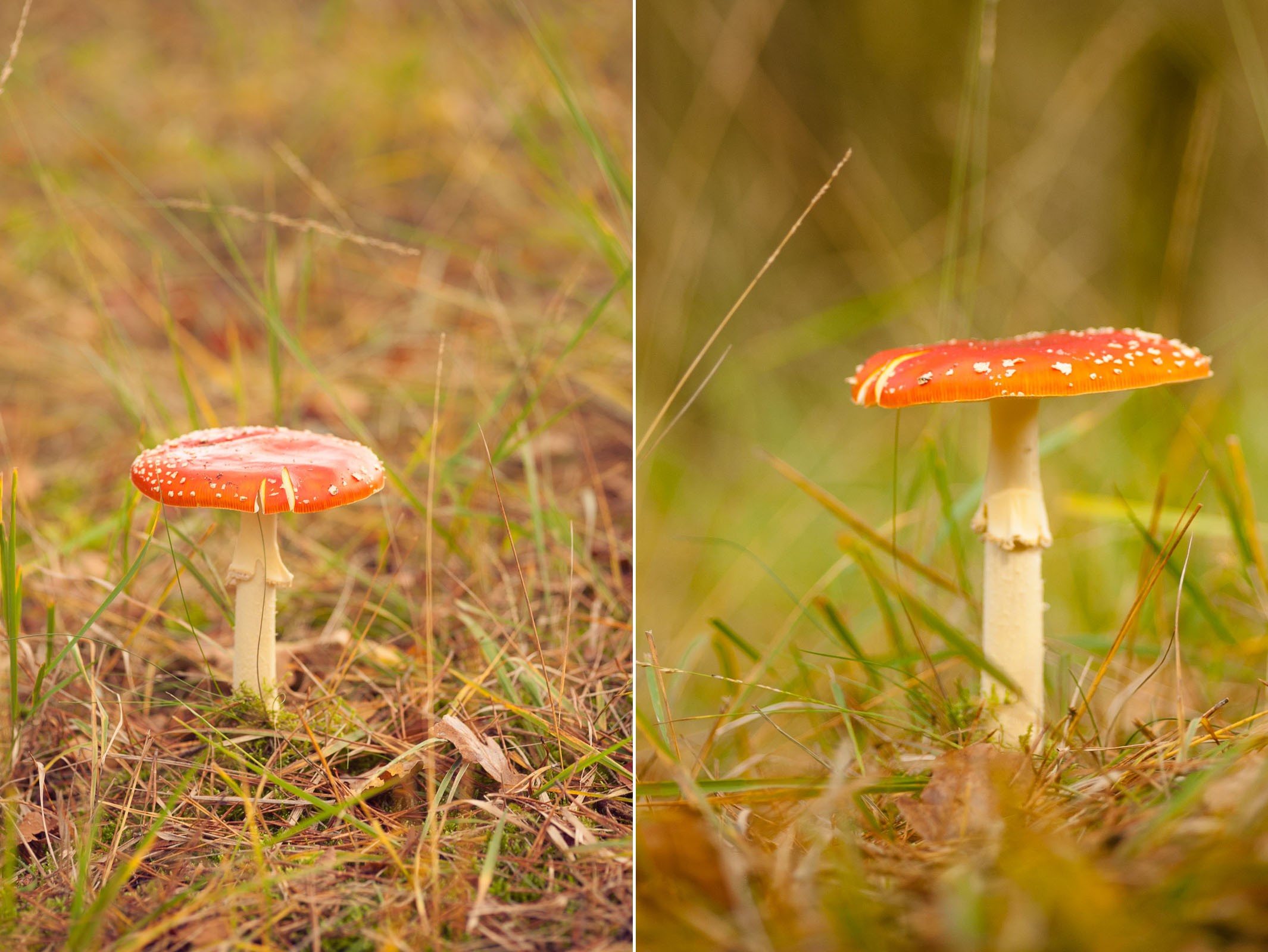 Kies je standpunt en hoogte