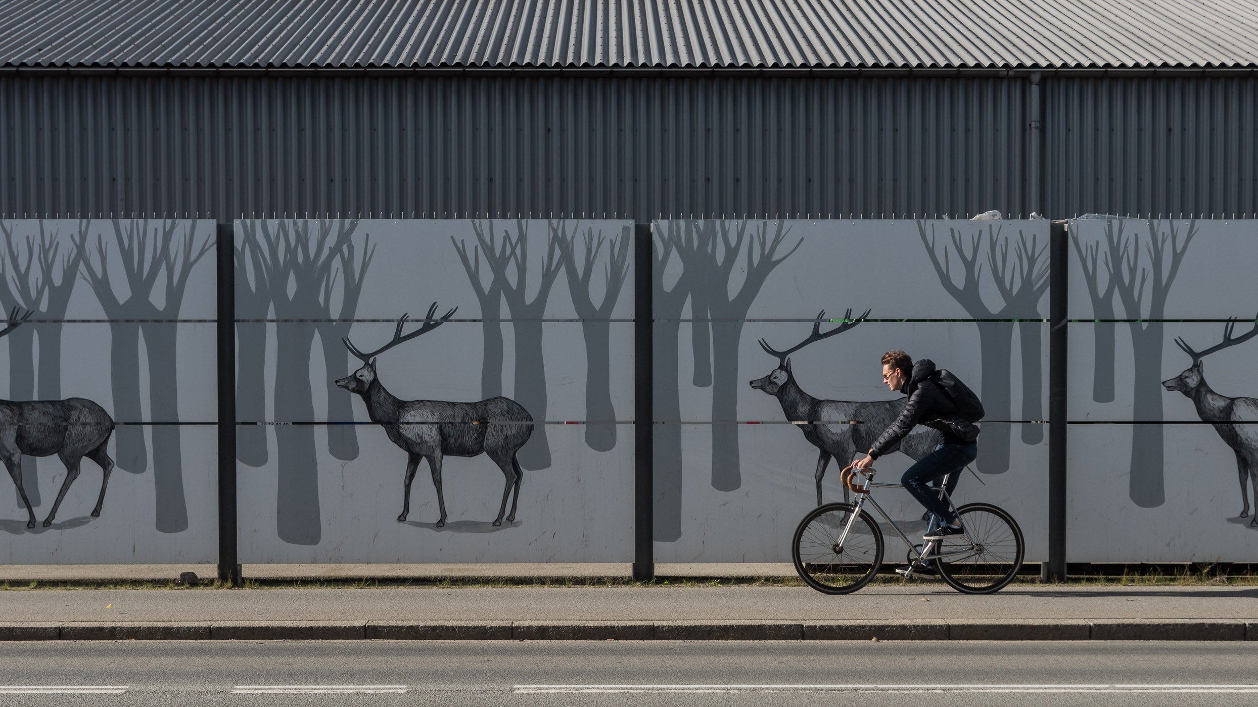 Fietser met op de achtergrond een mooie muur in Kopenhagen.