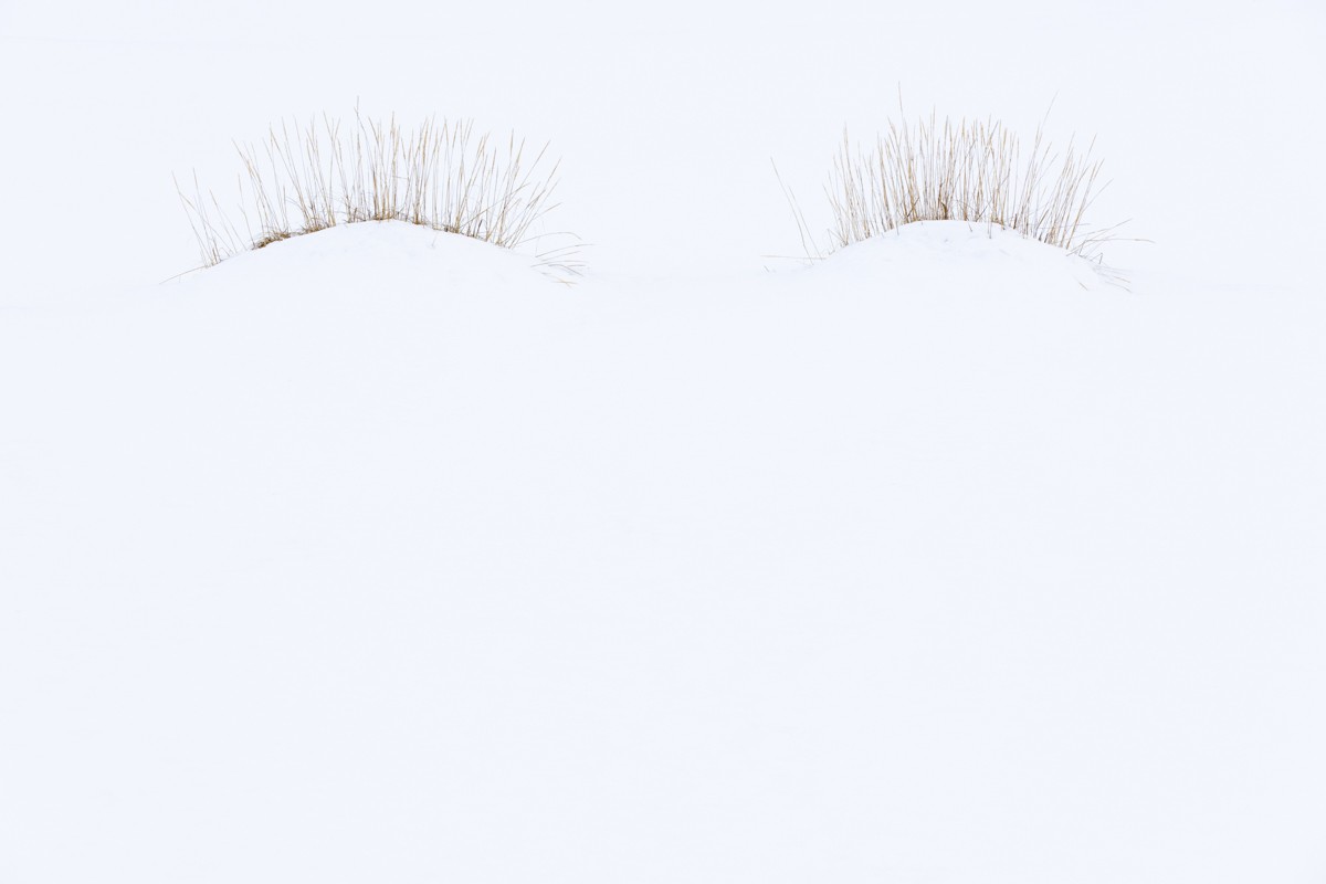 Theo Bosboom - IJsland