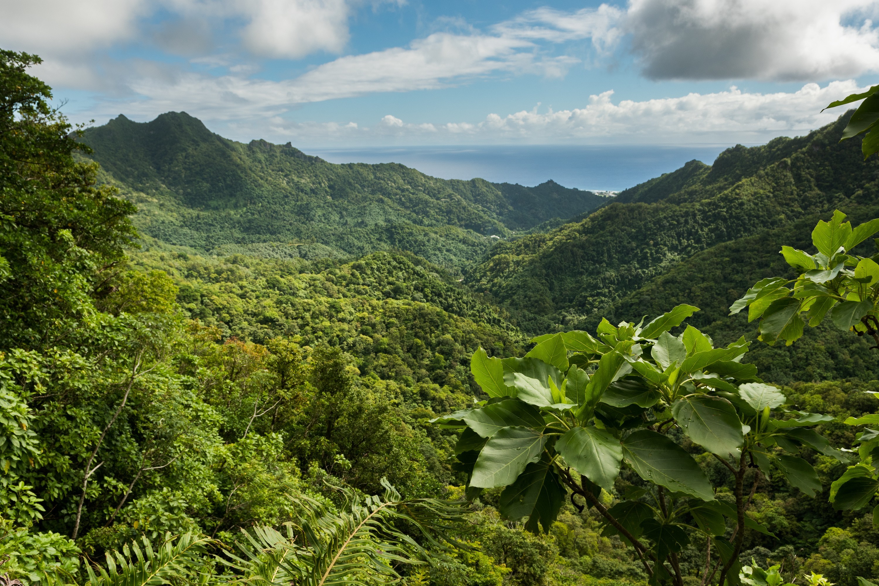 Het uitzicht vanaf de top van de berg