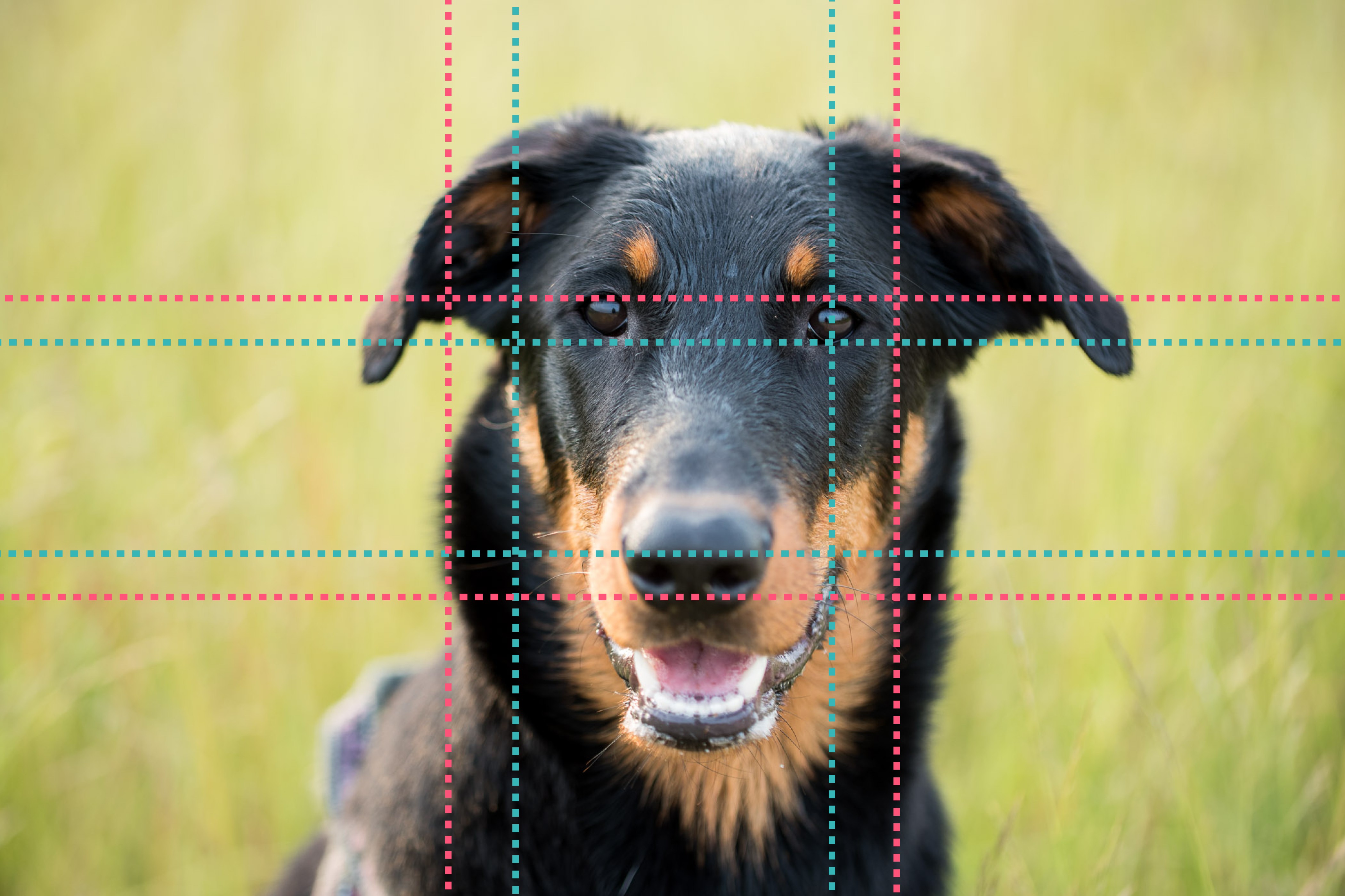 Ook hier kloppen de regels net niet helemaal