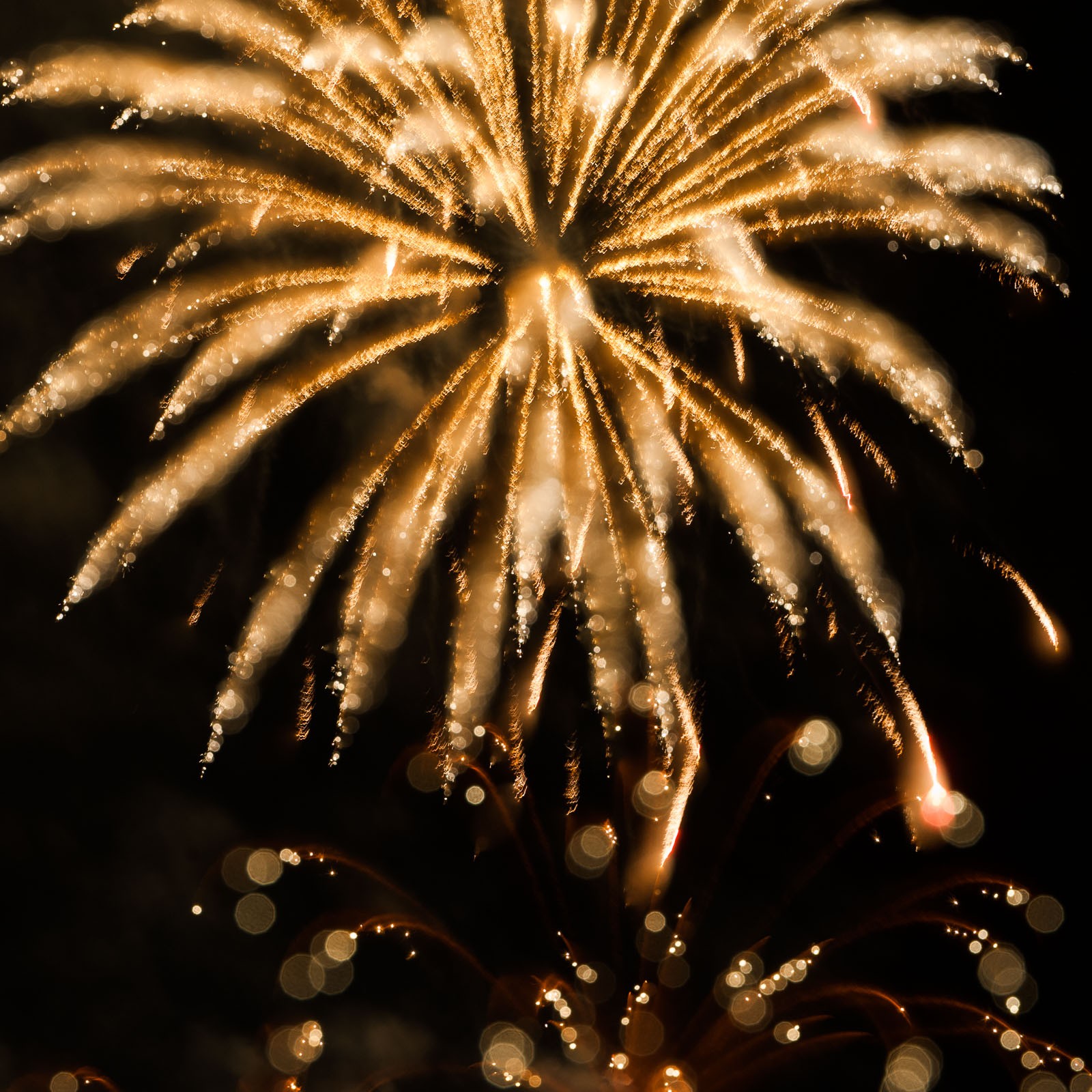 De foto heeft een extra sprankeling gekregen door de bokeh aan de onderkant.