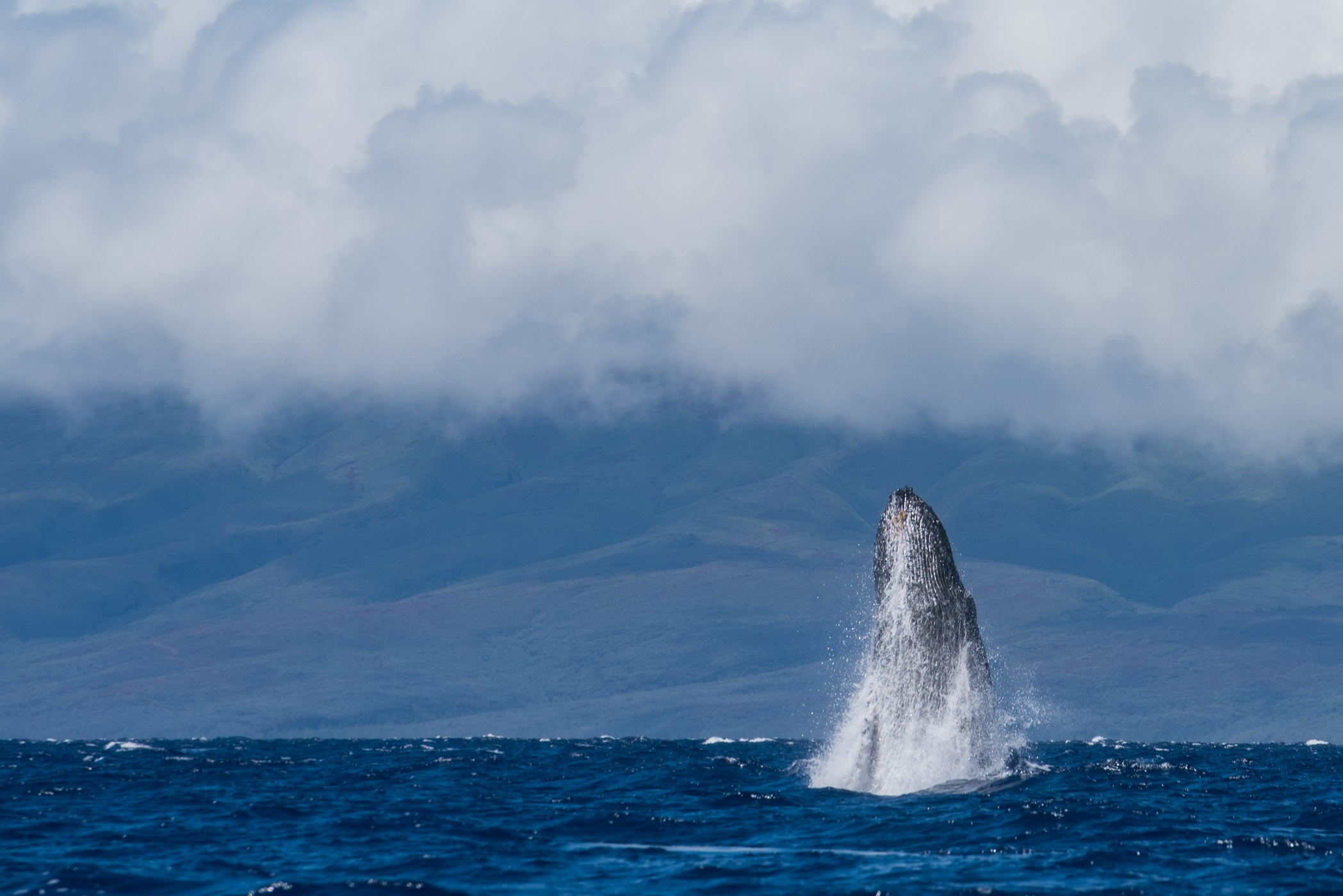 Jump to the sky [Hawaï]