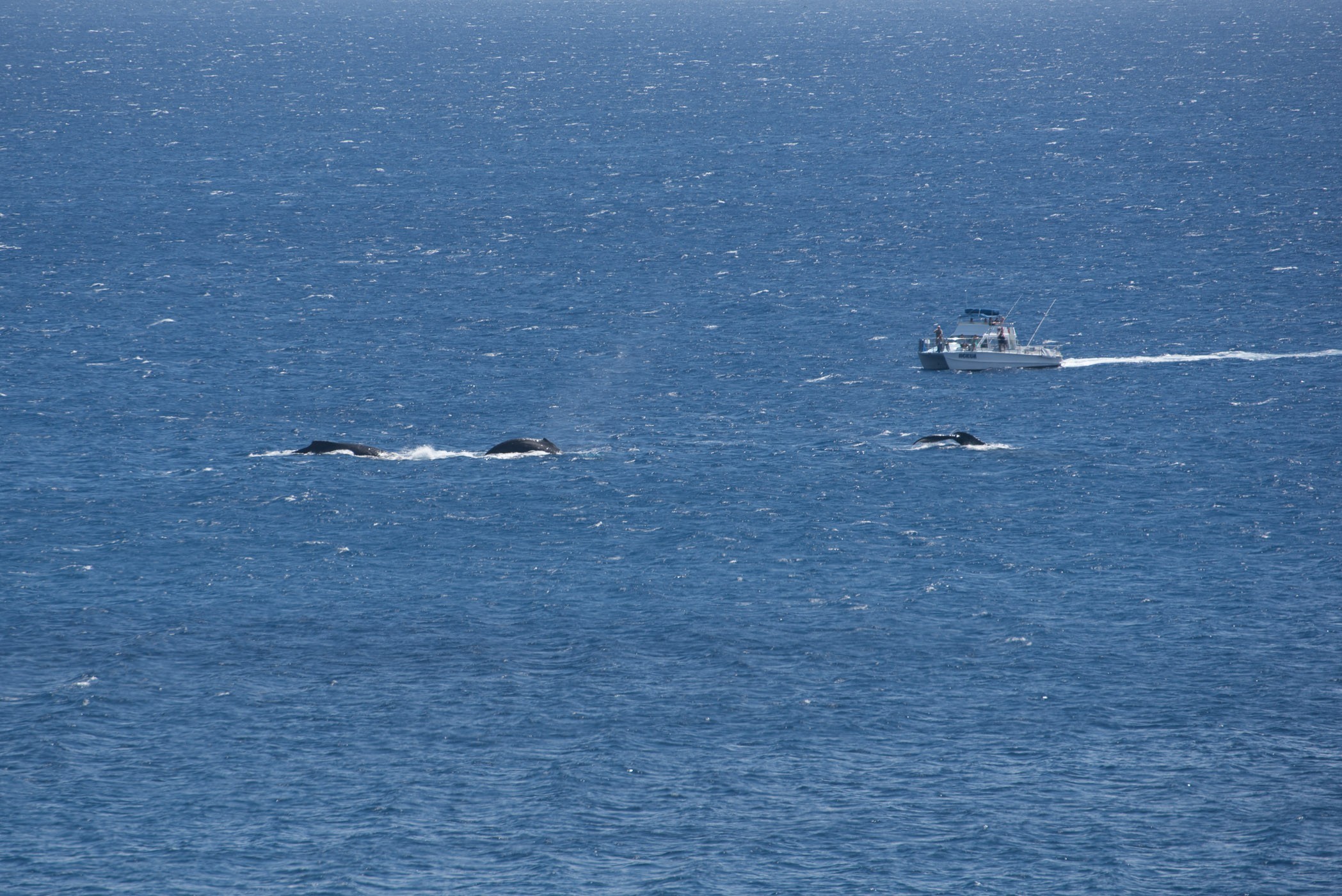 Deze foto maakte ik vanaf het (ei)land bij een uitkijkpunt.