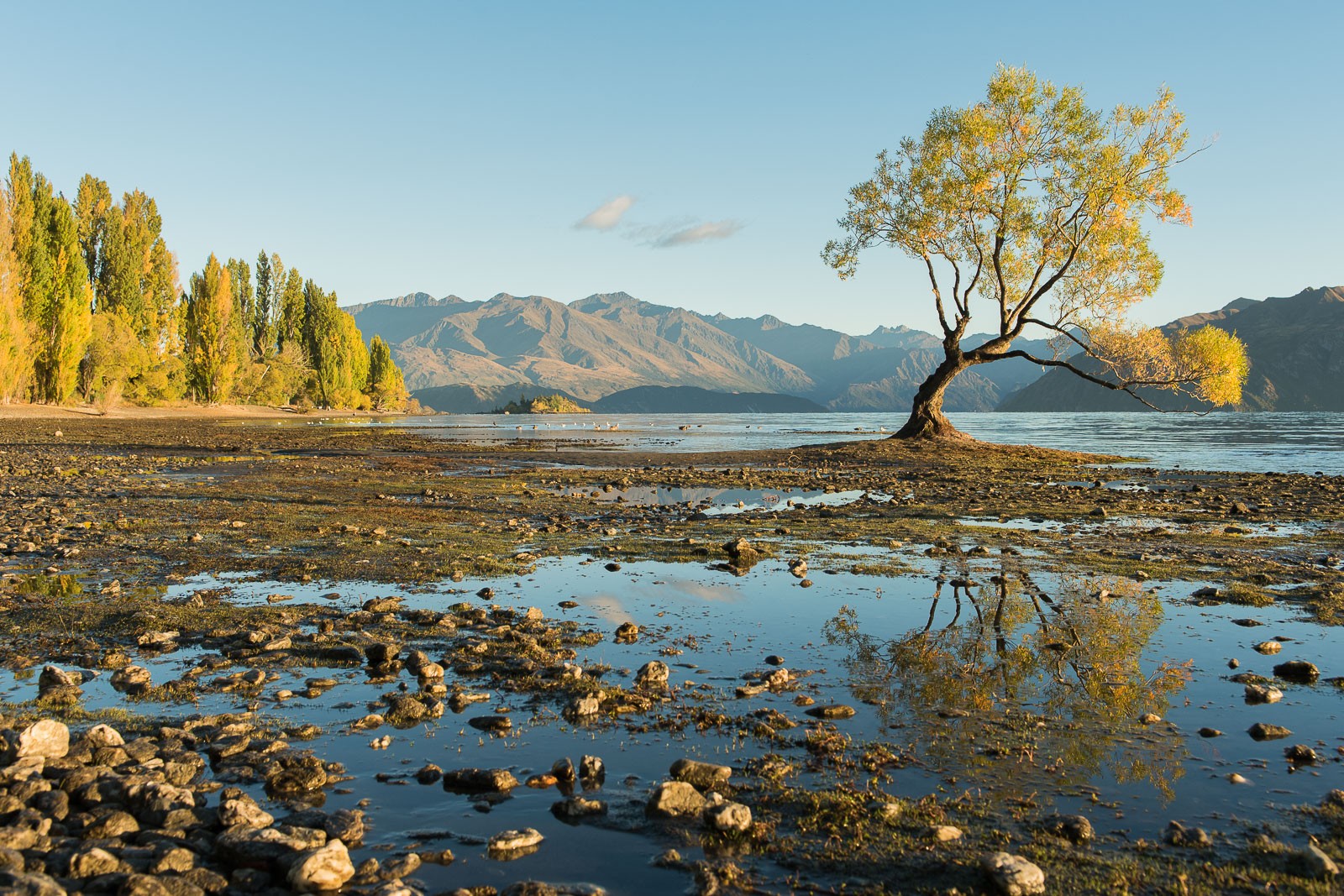 Foto in originele verhouding
