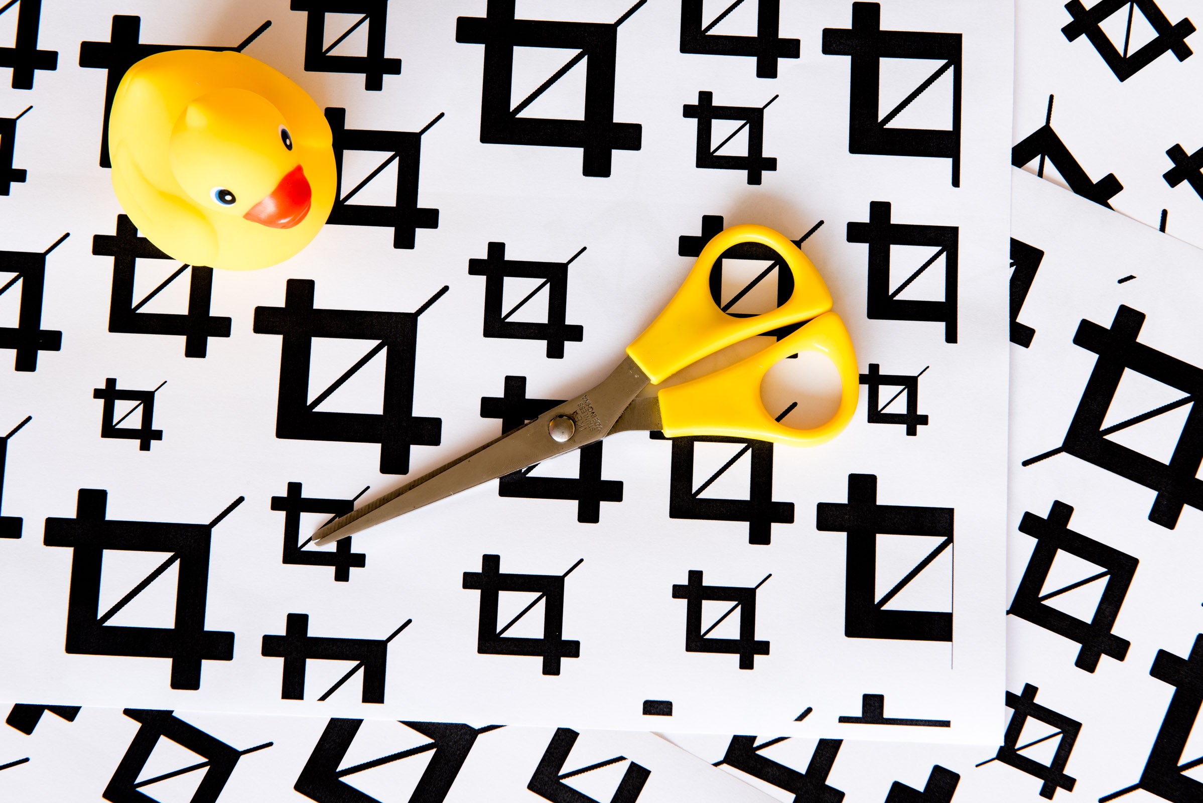 Dit is de foto zoals deze uit de camera kan. (Originele uitsnede dus)