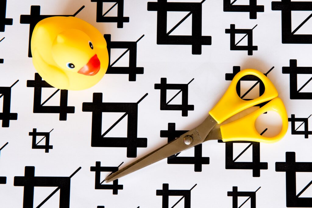 Deze foto is gecropt. Er is een uitsnede gemaakt waarbij de rechterkant en onderkant een stukje afgesneden.