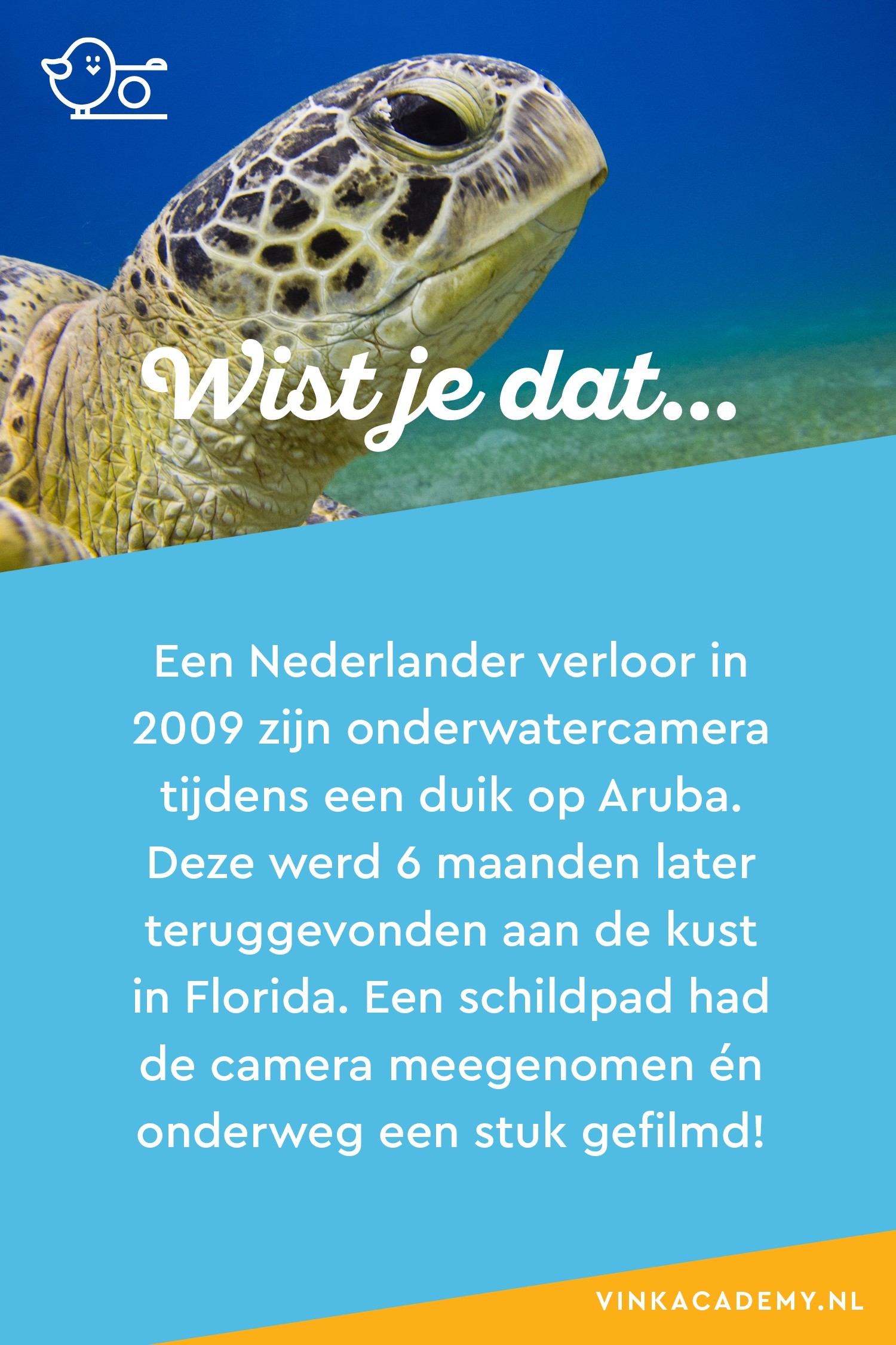 Een Nederlander verloor zijn onderwatercamera bij Aruba, maar die werd 6 maanden later teruggevonden voor de kust van Florida. Een schildpad had de camera meegenomen en onderweg een stukje gefilmd.