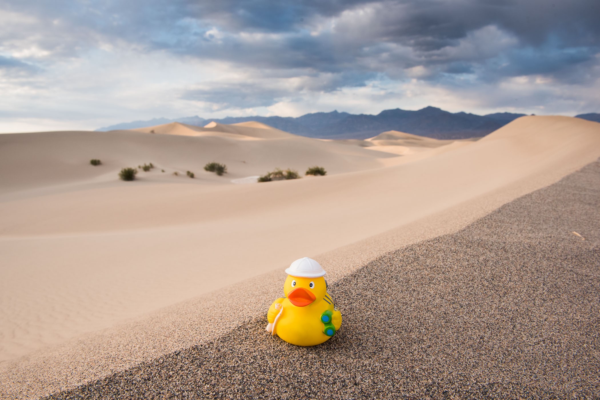 Hier stond de witbalans goed ingesteld: daglicht