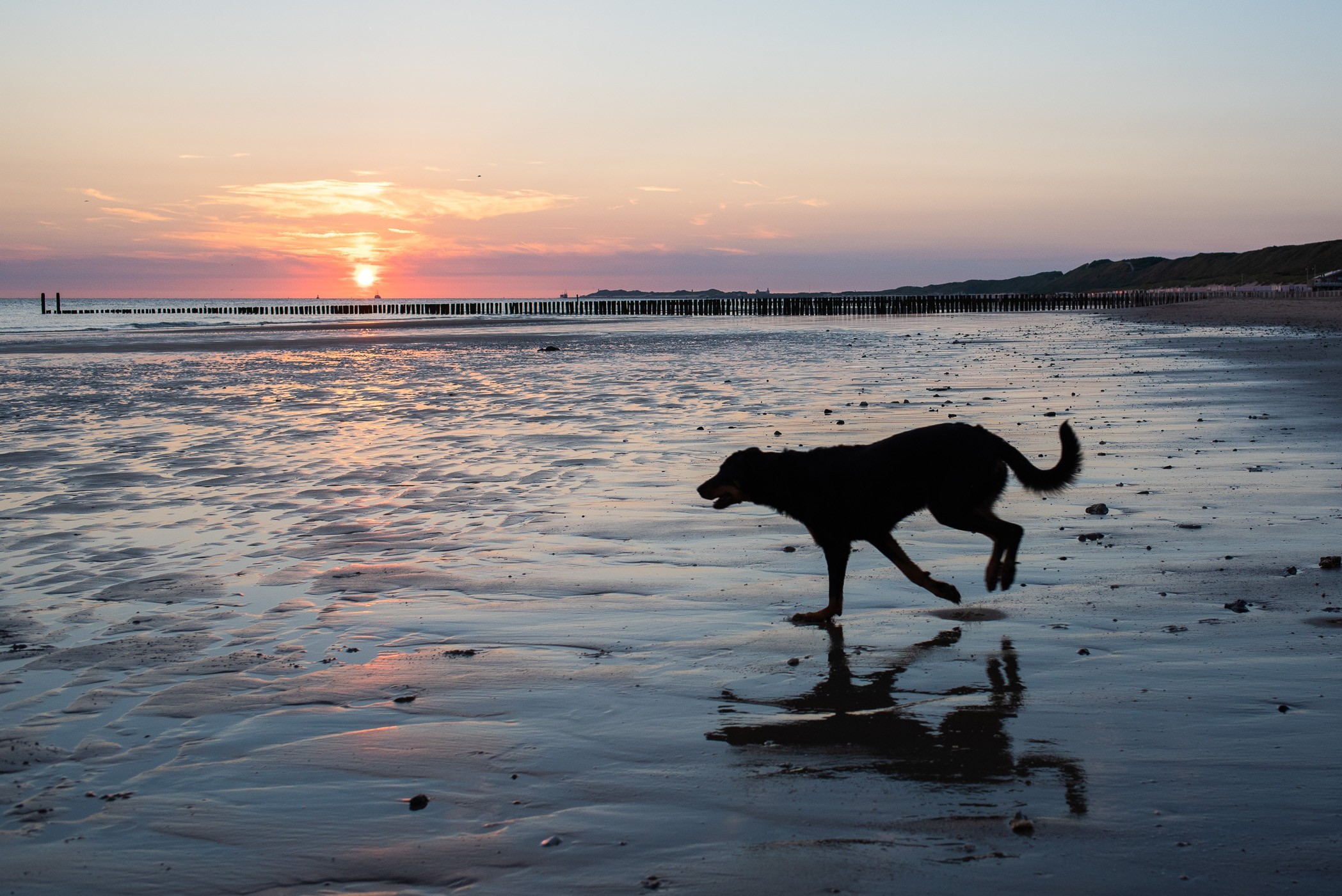 JJ heeft die avond heeeeel veel gerend!