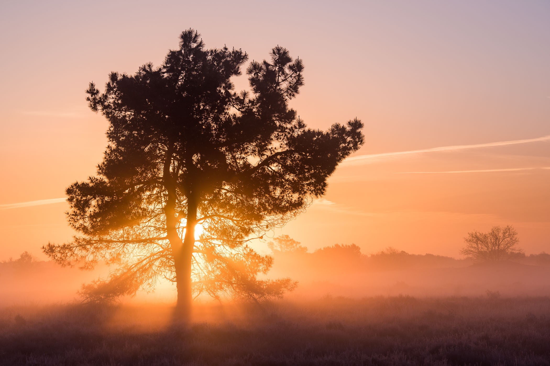 Zonsopkomst En Ondergang 2025 Zonsondergang 2025 LMORWY